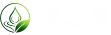 标签global报错：缺少属性 name 。